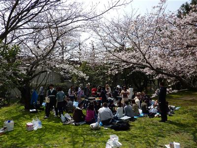 Hanami 2